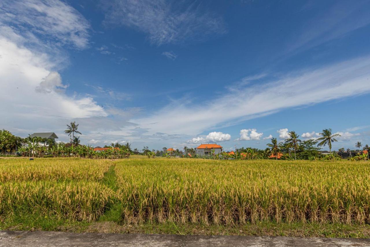 D'Jineng Rice Terrace Canggu المظهر الخارجي الصورة